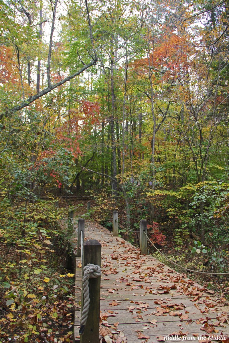 Monday morning rundown (Soup, glorious soup!) – Riddle from the Middle